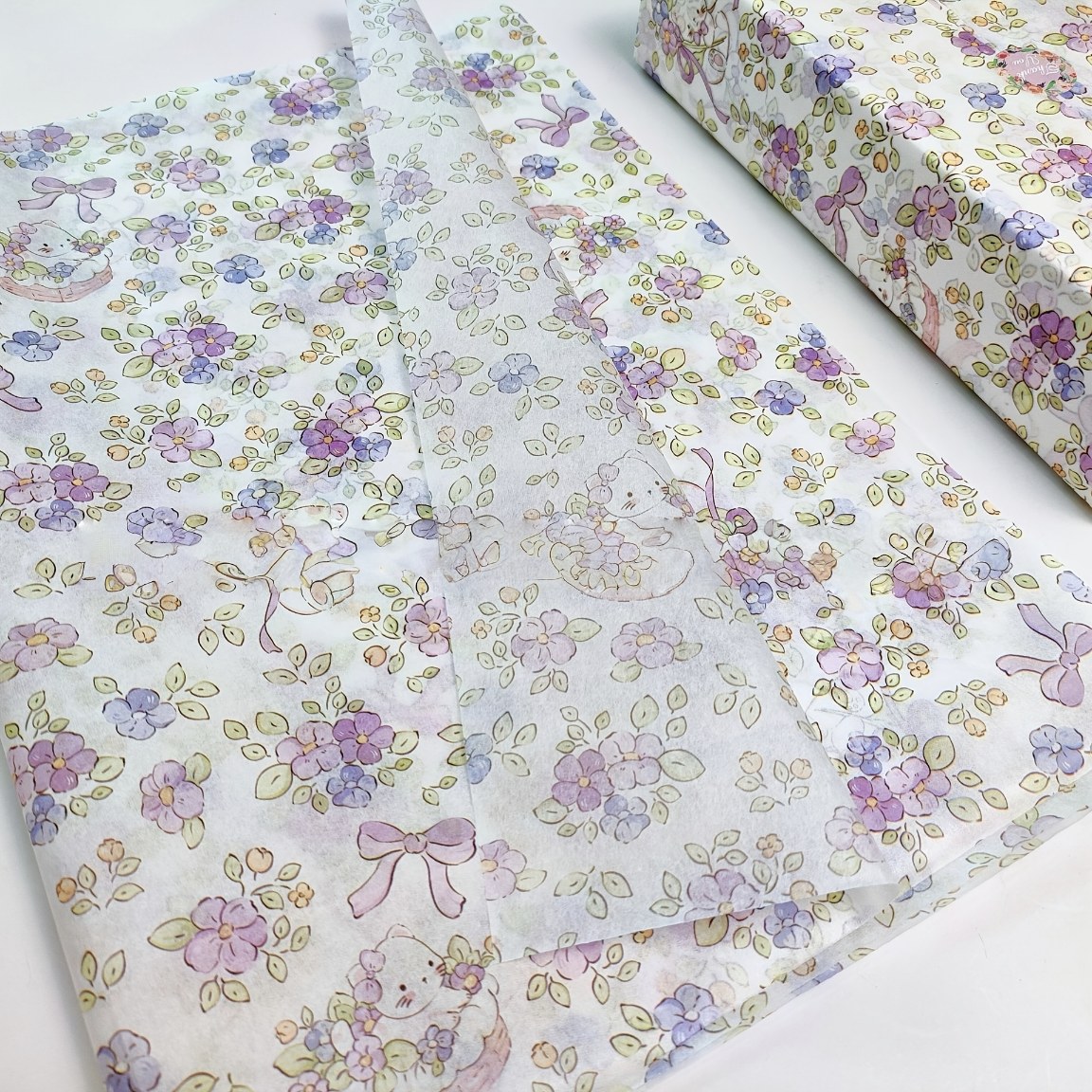 軽くて新鮮な風鈴花雪梨紙10枚、半透明の極薄紙、柔らかくもち - Ultralight Ground Sheet のレビューと価格