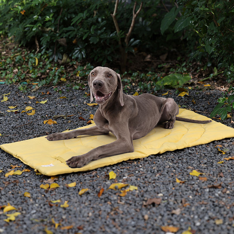 ポータブル折りたたみ式ペットマット,収納バッグ,ペット用品, - Outdoor Camping Rug のレビューと価格