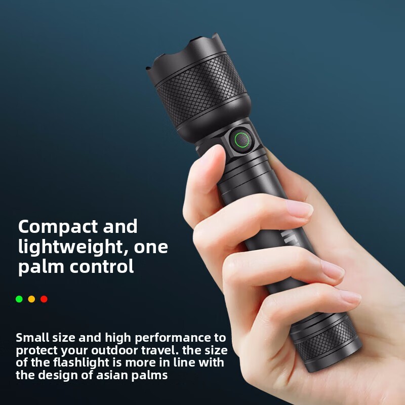 2025年最新 フィリップス SFL2188 LED アルミ - Outdoor Camping Items のレビューと価格